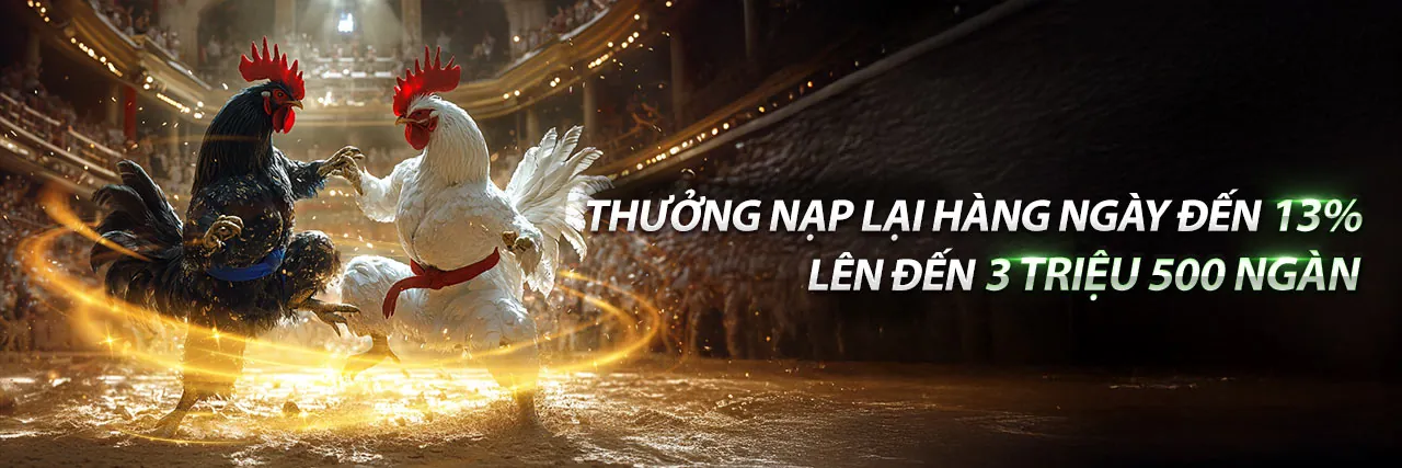 Đá Gà Trực Tuyến mm886 2026